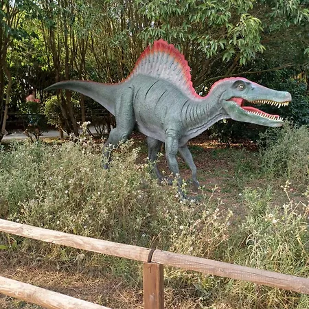 D'hôte Indépendante Barzan