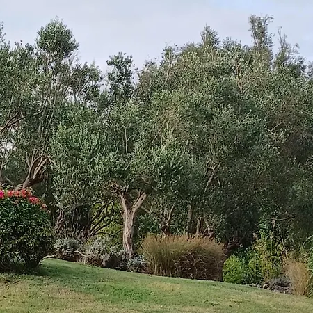 Couette-café D'hôte Indépendante