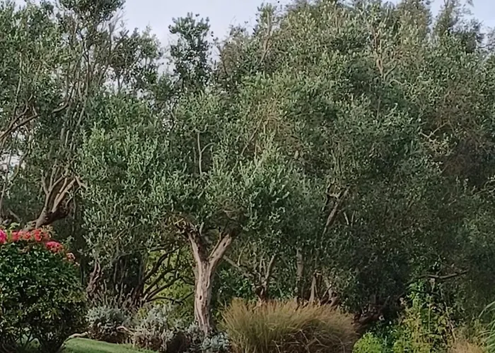 Bed and breakfast D'hôte Indépendante