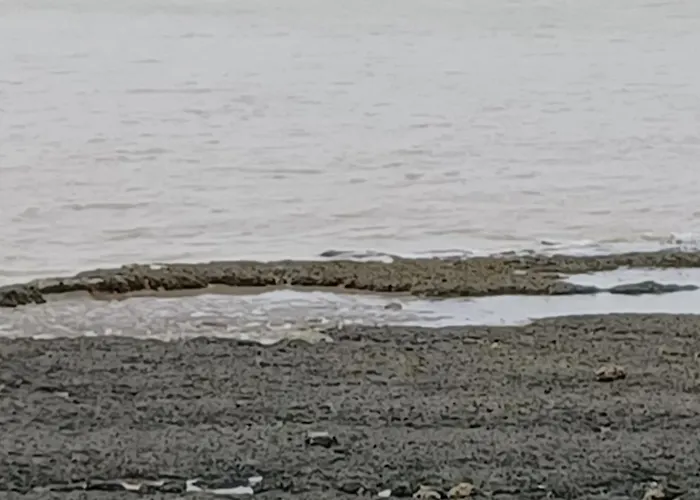 Bed and breakfast D'hôte Indépendante Barzan